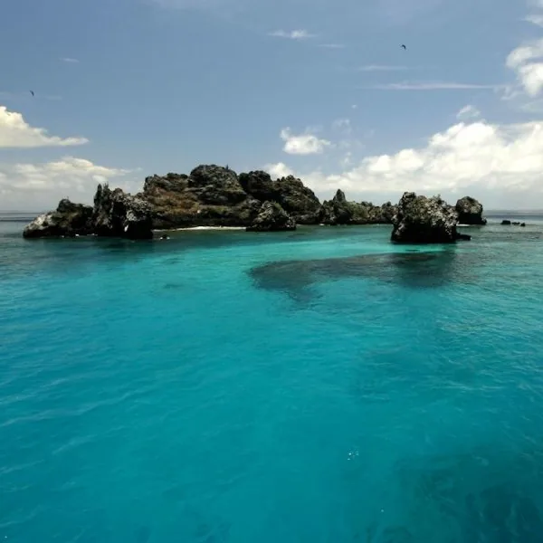 7-Day Galápagos Itinerary: Two Islands, Land-Based or With a Cruise Leg