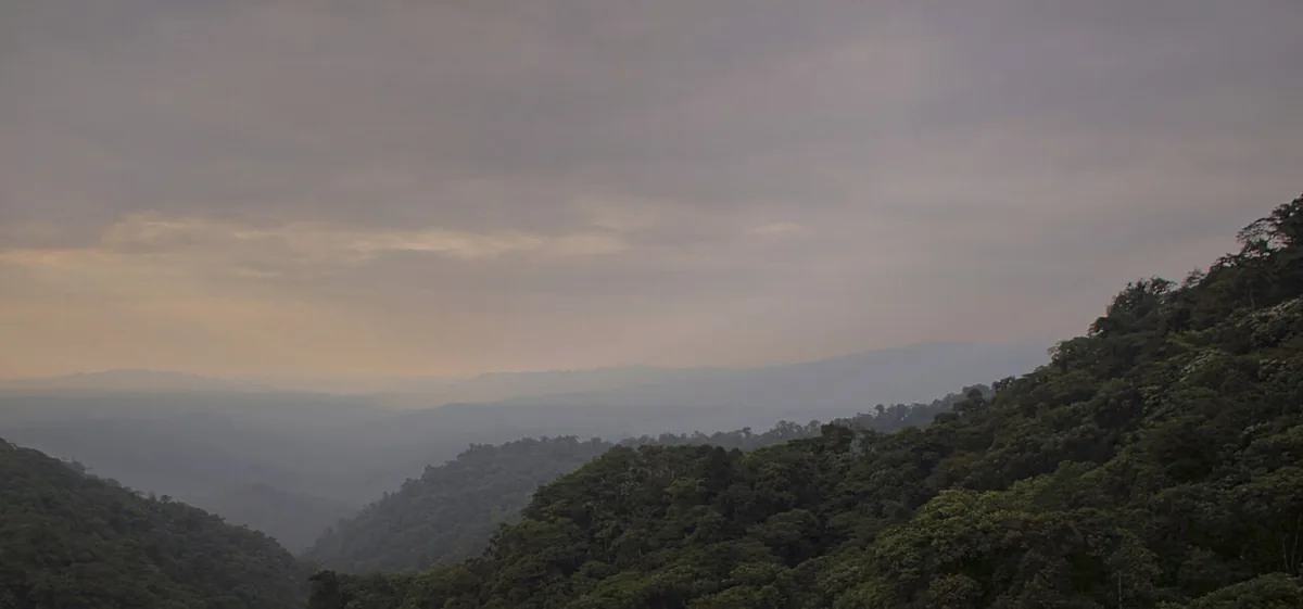 Best of Ecuador: Galápagos, Quito and the Cloud Forest
