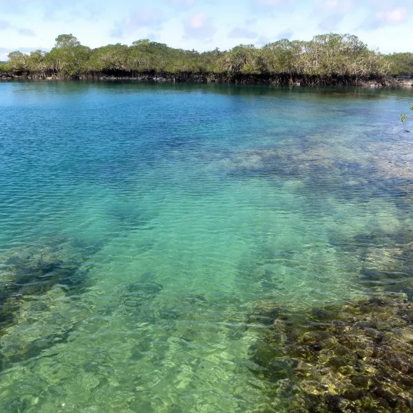 Concha de Perla: The Free Swim That Surprises People