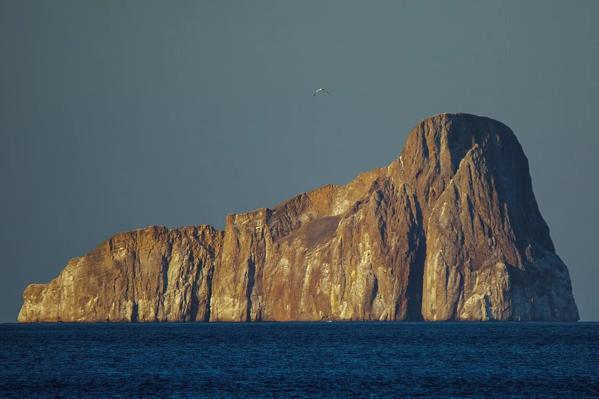 Galápagos Cruise Itineraries Explained: Routes, Regions and the 8-Day Rule