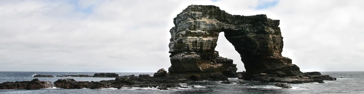 Darwin and Wolf Islands, Galápagos: The Dive-Only Islands at the Top