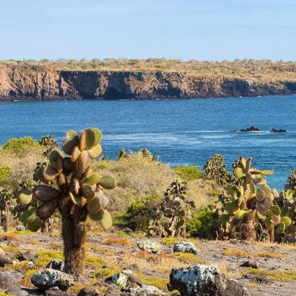 Galápagos for Seniors: Pacing, Access and Comfort