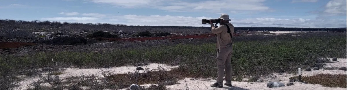 Galápagos in May: Blue-Footed Booby Mating, Transition Season