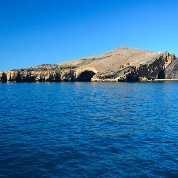 Galápagos in October: Garúa Lifts, Diving Improves