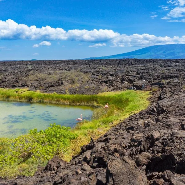 Galápagos National Park Rules Every Visitor Must Follow