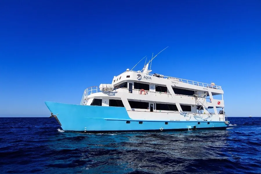 Is Galápagos Safe? What You Actually Need to Worry About