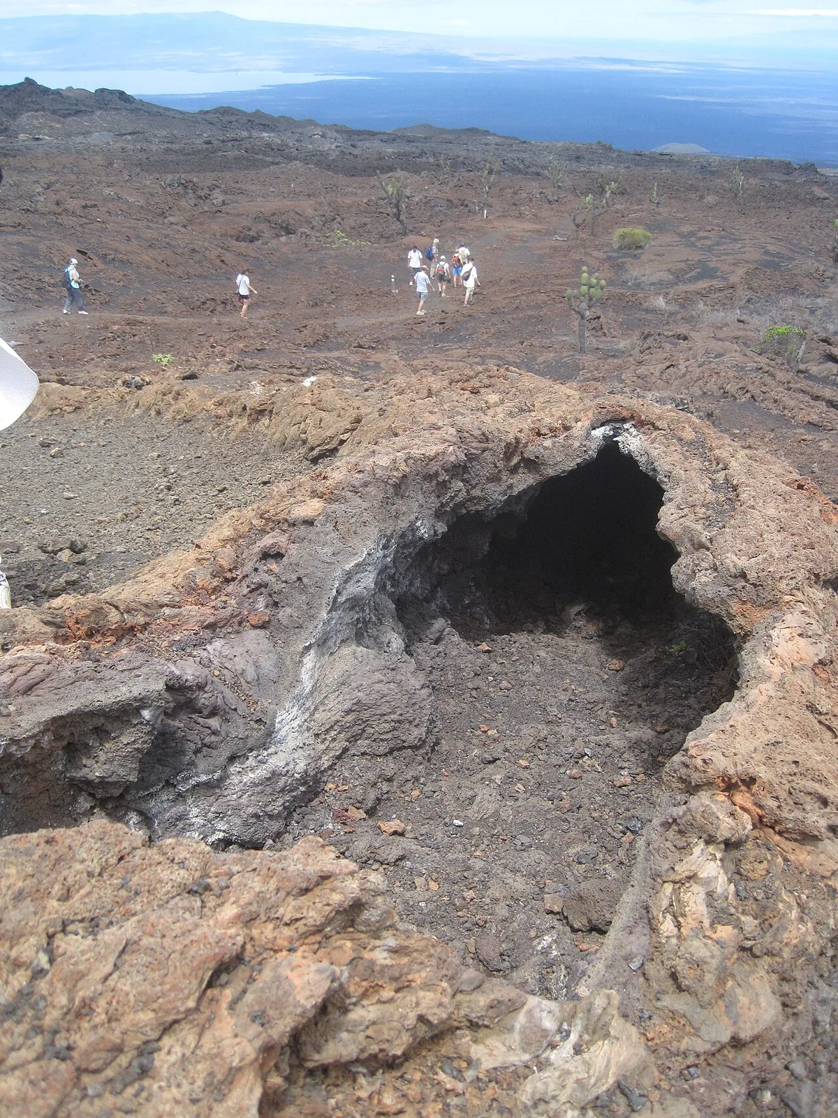 Los Túneles, Isabela: The Lava Aquarium