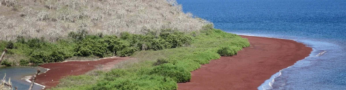 Rabida Island, Galápagos: Red Sand, Salt Lagoons and One Crowded Snorkel