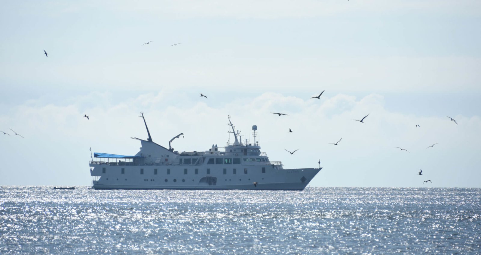 la pinta galapagos ship