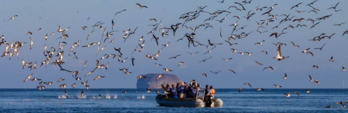 Panga ride 4 Monserrat Galapagos Cruise -