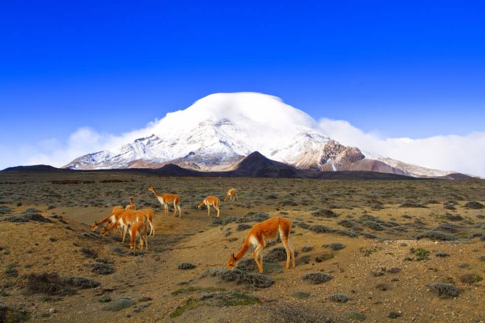 Chimborazo_trekking