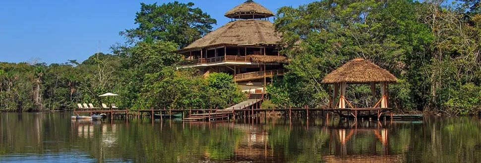 AMAZON LODGE -