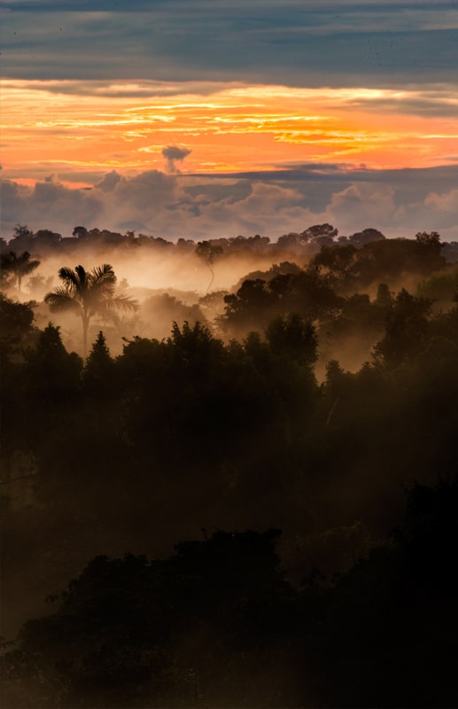 mindo cloud forest ecuador -