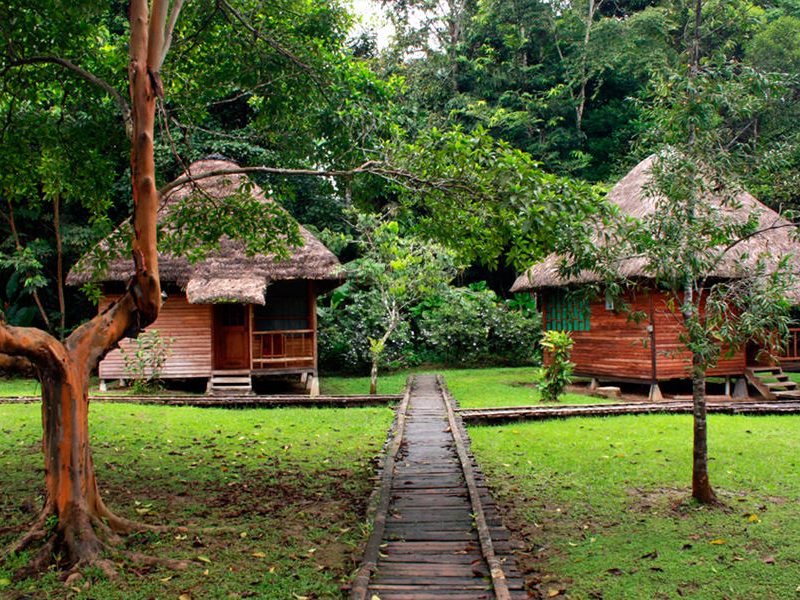 Sani Amazon Lodge Tours Jungle Hotels Rainforest Ecuador